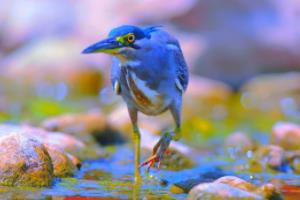 德甲联赛最新赛程公布,全面解析新赛季赛程安排德甲联赛最新赛程公布