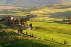 意大利德甲联赛分析结果，竞争激烈，传统强队与新兴球队的较量意大利德甲联赛分析结果